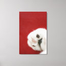 Suche nach weichheit poster Haustiere