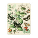 Suche nach würmer magnete Natur