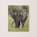 Suche nach afrikanischer elefant puzzle Natur