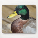 Suche nach schnabel mousepads Wild lebende tiere