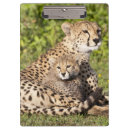 Suche nach mutter klemmbrett Natur