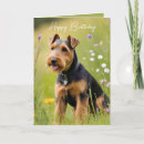 Suche nach welsh terrier postkarten Niedlich
