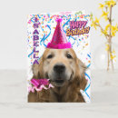 Suche nach retriever karten Hundefreund