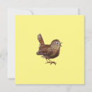 Suche nach singvogel karten Ornithologie