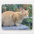 Suche nach tabby mousepads Süß