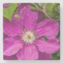 Suche nach scheren untersetzer Blume
