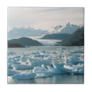 Suche nach chile fliesen Andres morya hinojosa