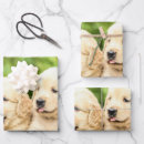 Suche nach retriever geschenkpapier Niedlich