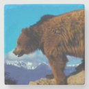 Suche nach grizzlybär untersetzer Tierwelt