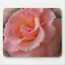 Suche nach pfirsich rosen mousepads Rosa