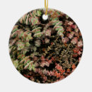 Suche nach weinrebe ornamente Natur