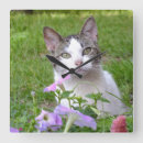 Suche nach weißer tiger wanduhren Katze