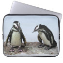 Suche nach pinguin laptop schutzhüllen Vögel