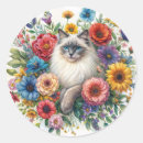 Suche nach ragdoll katze aufkleber Kätzchen