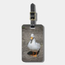 Suche nach enten gepäckanhänger Tiere