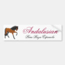 Suche nach andalusisch Spanien