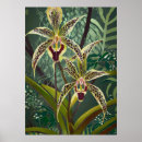 Suche nach orchid poster Blumen