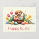 Suche nach bunte eier postkarten Für sie