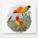 Suche nach schwarze federn mousepads Tier
