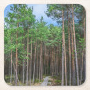 Suche nach kiefern untersetzer Wald