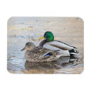 Suche nach enten magnete Blau