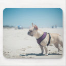 Suche nach schoßhund mousepads Schosshund