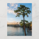 Suche nach tropisches paradies postkarten Palme
