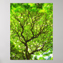 Suche nach riesiger baum poster Natur