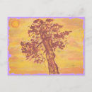 Suche nach nadelbaum postkarten Bäume