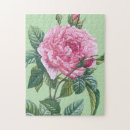 Suche nach rosa blüten puzzle Rose