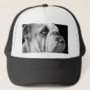 Suche nach bulldoggen kappen Tiere