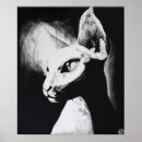 Suche nach sphynx cat poster Natur