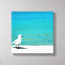 Suche nach tasmania poster Sand