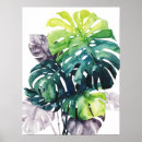 Suche nach palm leaf poster Botanische