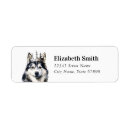 Suche nach husky dog Ehedad