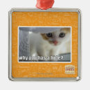 Suche nach fell ornamente Ich kann habe cheezburger