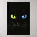 Suche nach einfaches auge poster Kätzchen
