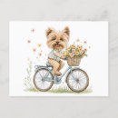 Suche nach rosa fahrrad postkarten Bunt