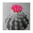 Suche nach kaktus blumen fliesen Pflanze