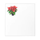 Suche nach poinsetta Blume
