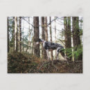 Suche nach great dane postkarten Hunde
