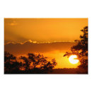 Suche nach schöner sonnenaufgang poster Orange
