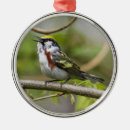 Suche nach kastanie ornamente Tiere