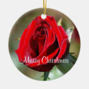 Suche nach rote rosen ornamente Weihnachten