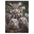 Suche nach owl klemmbrett Eule
