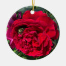 Suche nach fehler ornamente Blume