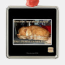 Suche nach herstellung ornamente Ich kann habe cheezburger