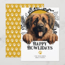 Suche nach leonberger hunde karten Haustier