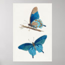Suche nach botanische illustration poster Retro