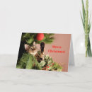 Suche nach katzenfreunde karten Kätzchen
